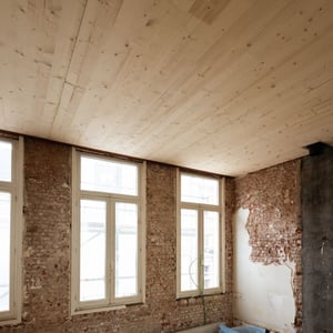 bosduif-200x200